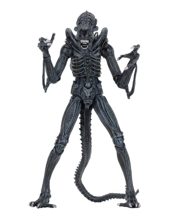 Aliens Ultimate Warrior (Blue) Figura