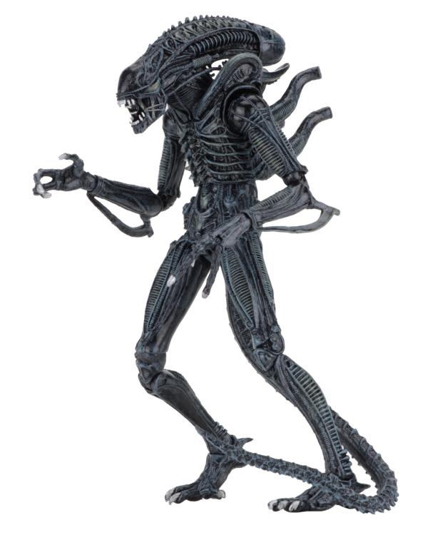 Aliens Ultimate Warrior (Blue) Figura