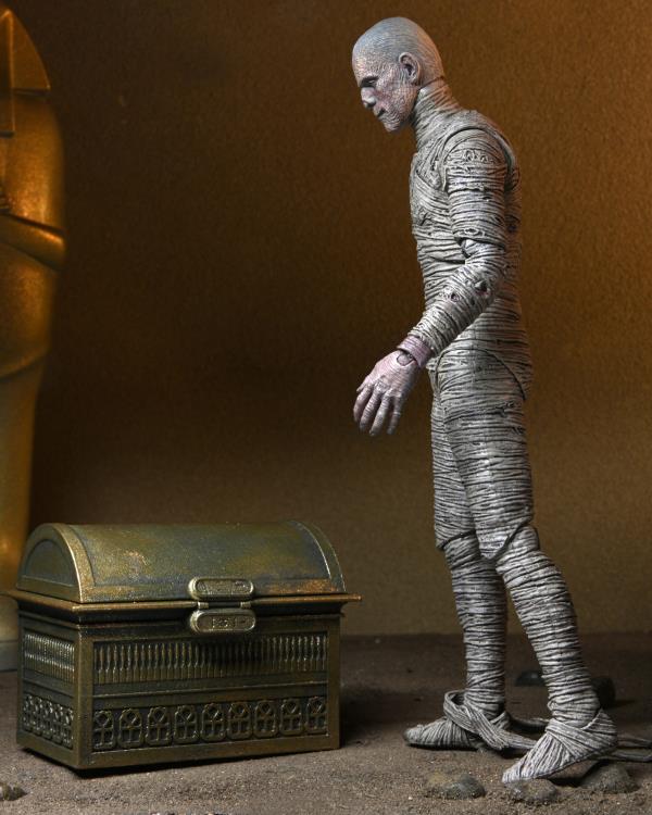 Universal Monsters The Mummy Accessory Pack Neca