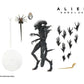 Alien Romulus Ultimate Scorched Alien Xenomorph