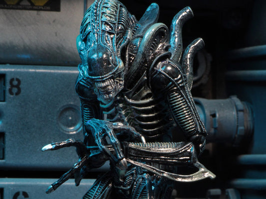 Aliens Ultimate Warrior (Blue) Figura
