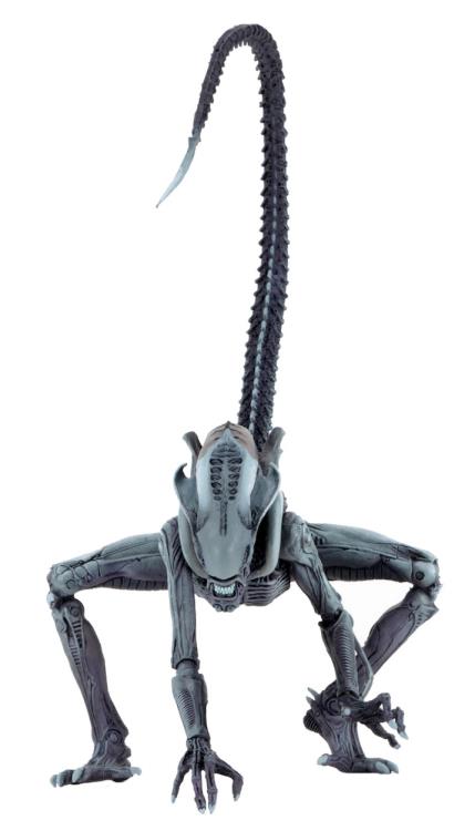 Alien vs. Predator Arcade Appearance Aliens Set of 3 Figuras