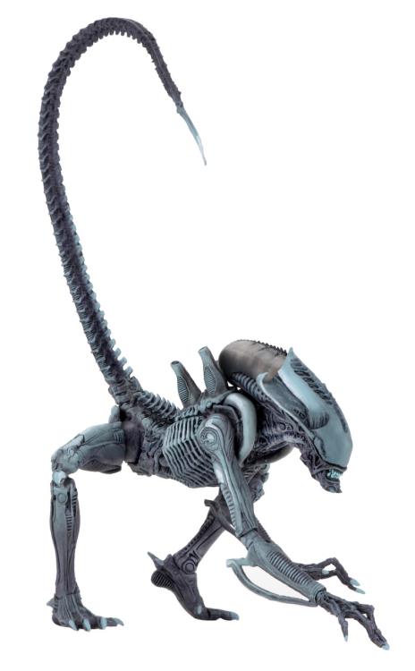 Alien vs. Predator Arcade Appearance Aliens Set of 3 Figuras