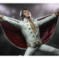 Elvis Presley (Live in '72) On Tour