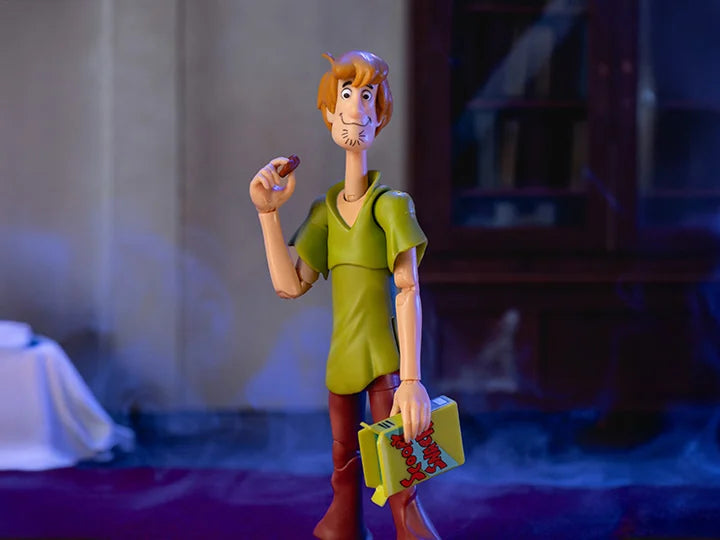 Scooby-Doo Shaggy Figura Acción