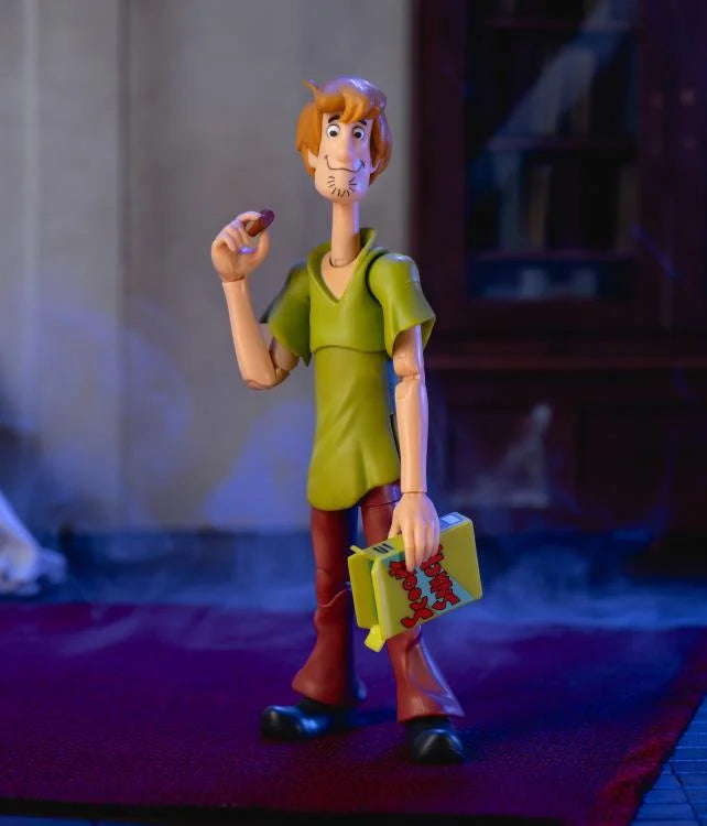 Scooby-Doo Shaggy Figura Acción
