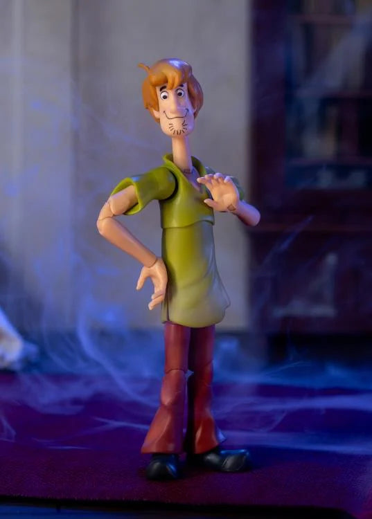 Scooby-Doo Shaggy Figura Acción