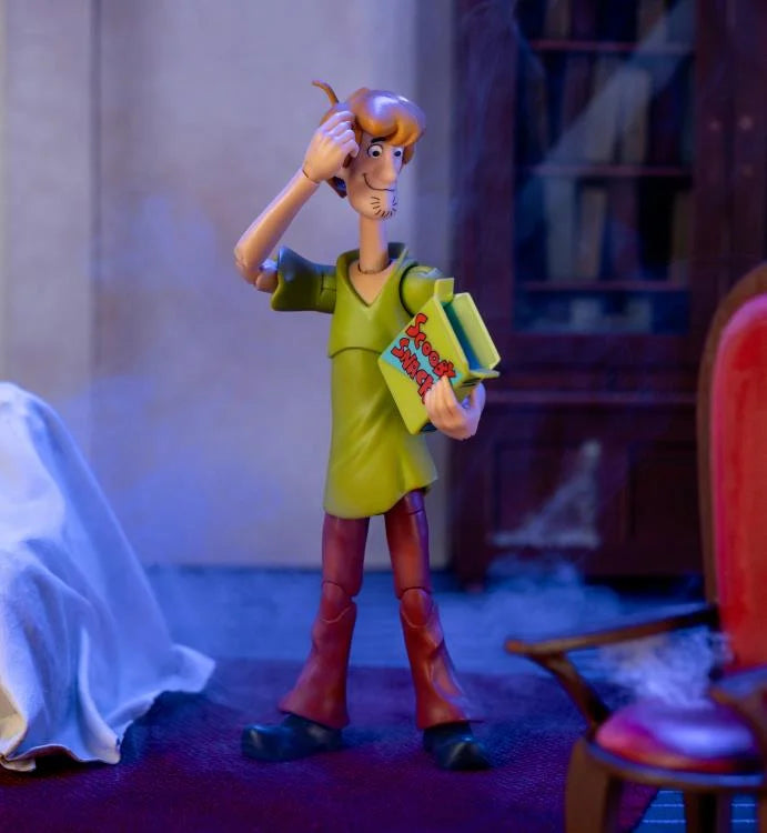 Scooby-Doo Shaggy Figura Acción