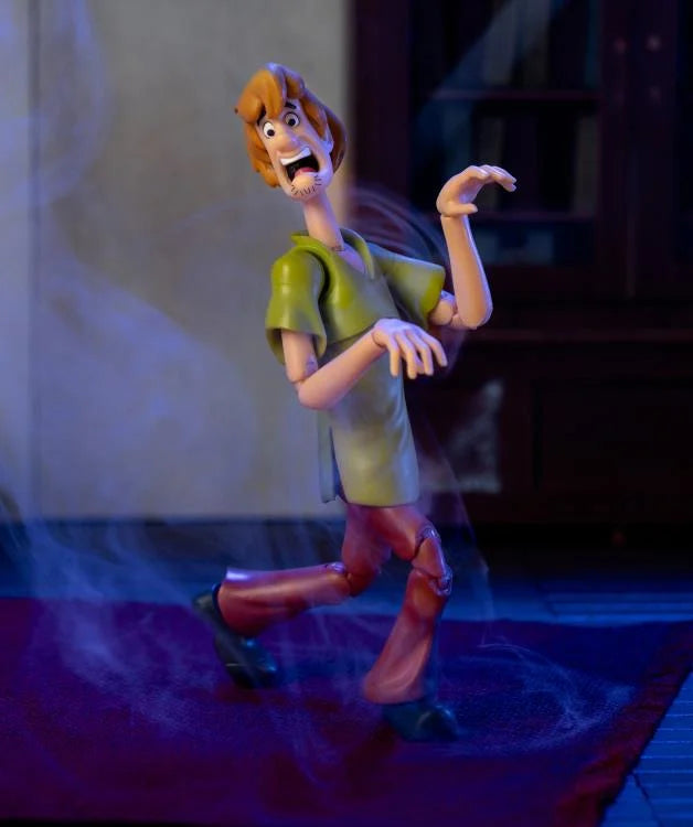 Scooby-Doo Shaggy Figura Acción