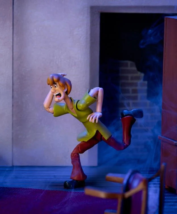 Scooby-Doo Shaggy Figura Acción