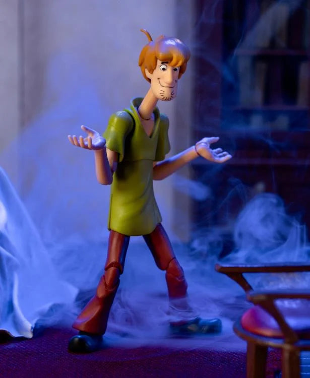Scooby-Doo Shaggy Figura Acción