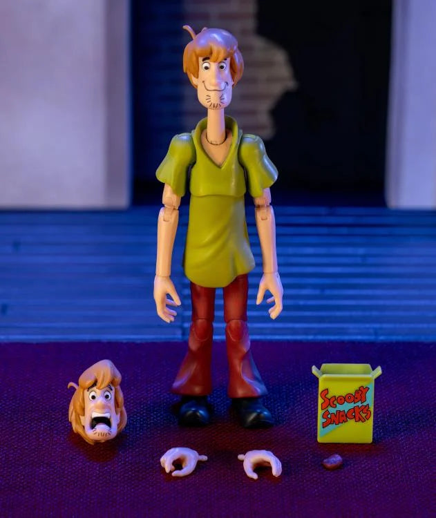 Scooby-Doo Shaggy Figura Acción