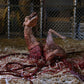 The Thing Ultimate Dog Creature Set Neca