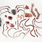 The Thing Ultimate Dog Creature Set Neca