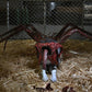 The Thing Ultimate Dog Creature Set Neca