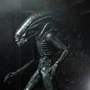 Xenomorph - Alien 40th Anniversary