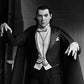 Universal Monsters Ultimate Dracula (Carfax Abbey) Figura