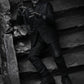 Universal Monsters Ultimate Frankenstein's Monster (Black & White) Figura Neca